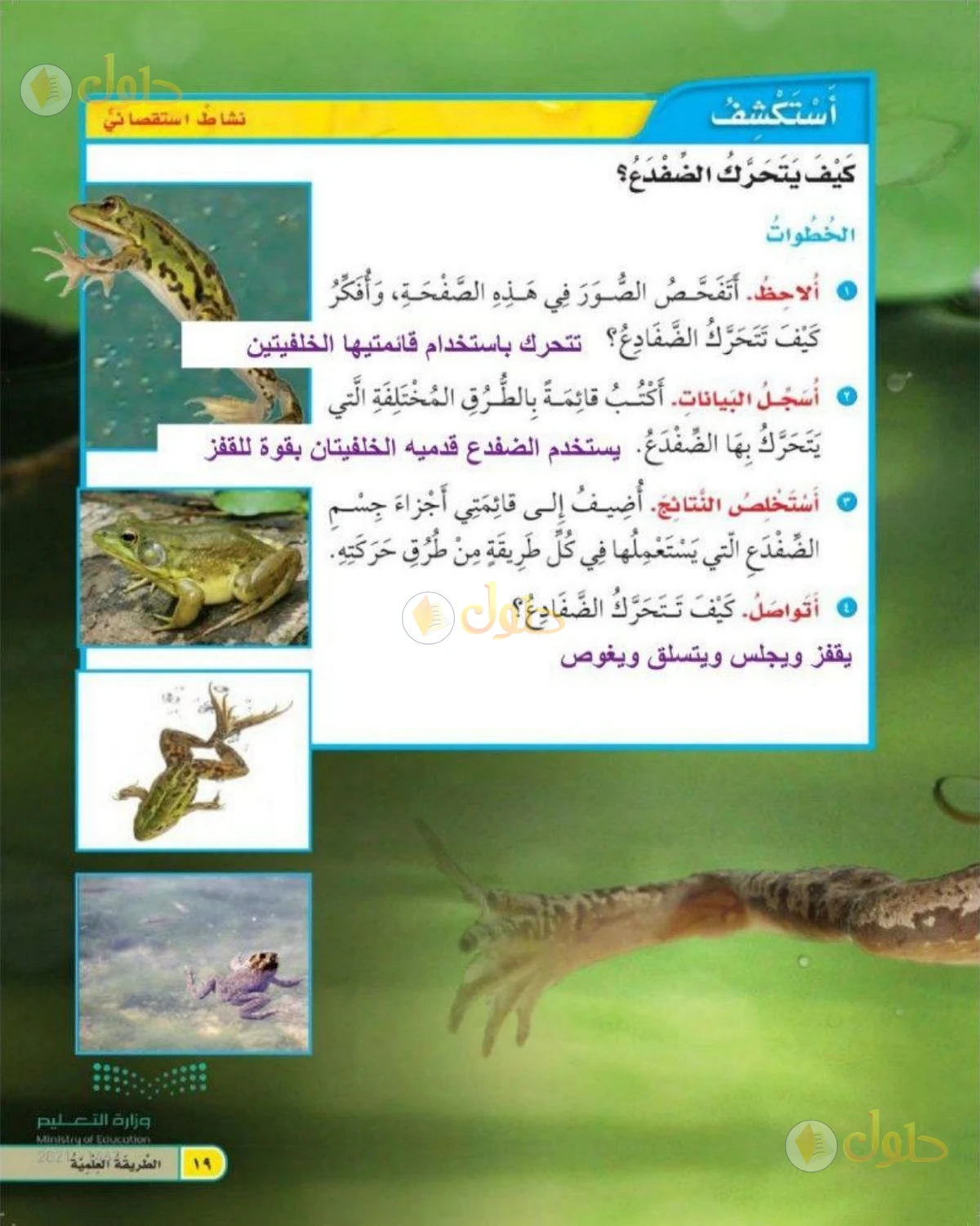 حل العلوم للصف الثاني الابتدائي صفحة 19