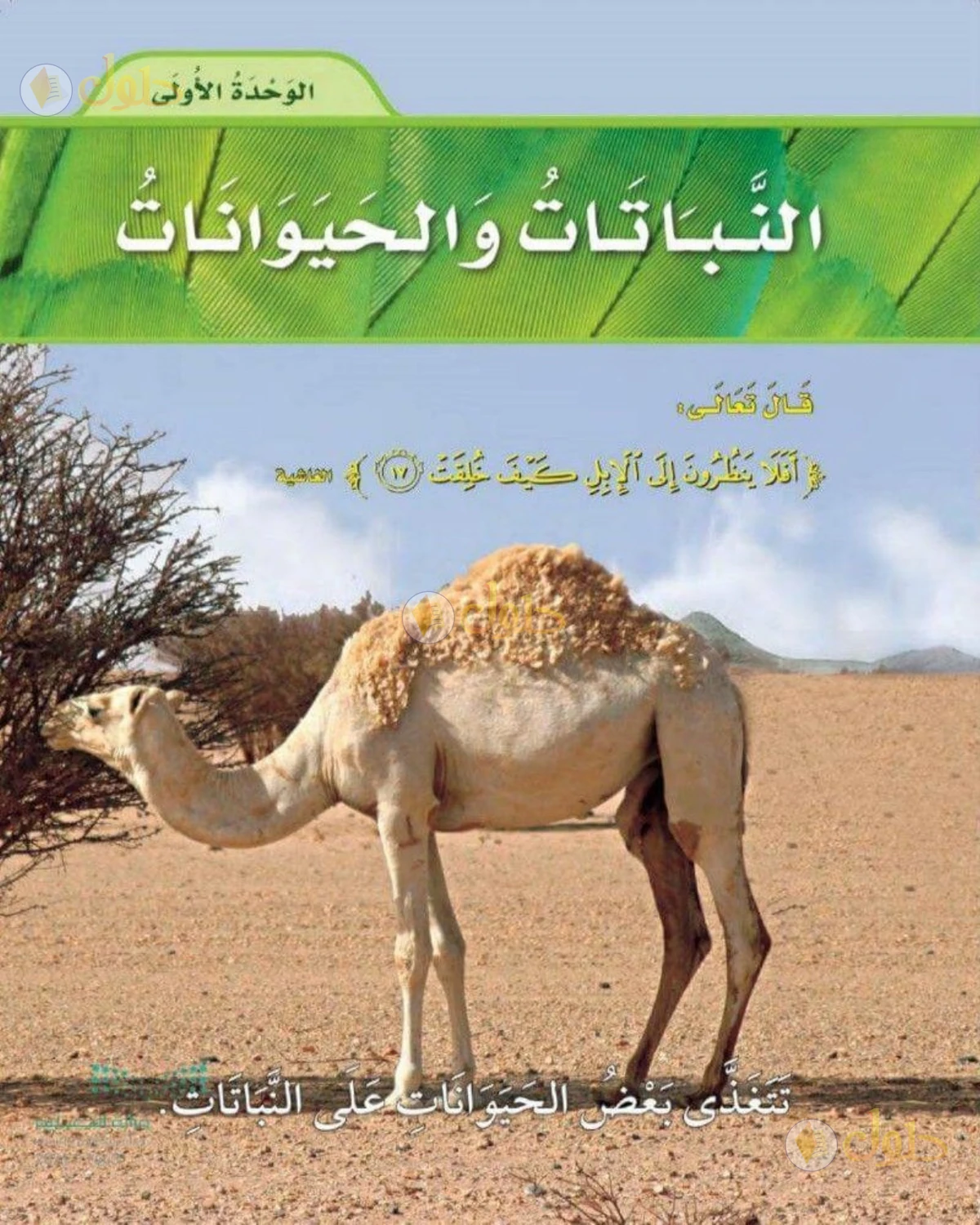 حل العلوم للصف الثاني الابتدائي صفحة 27