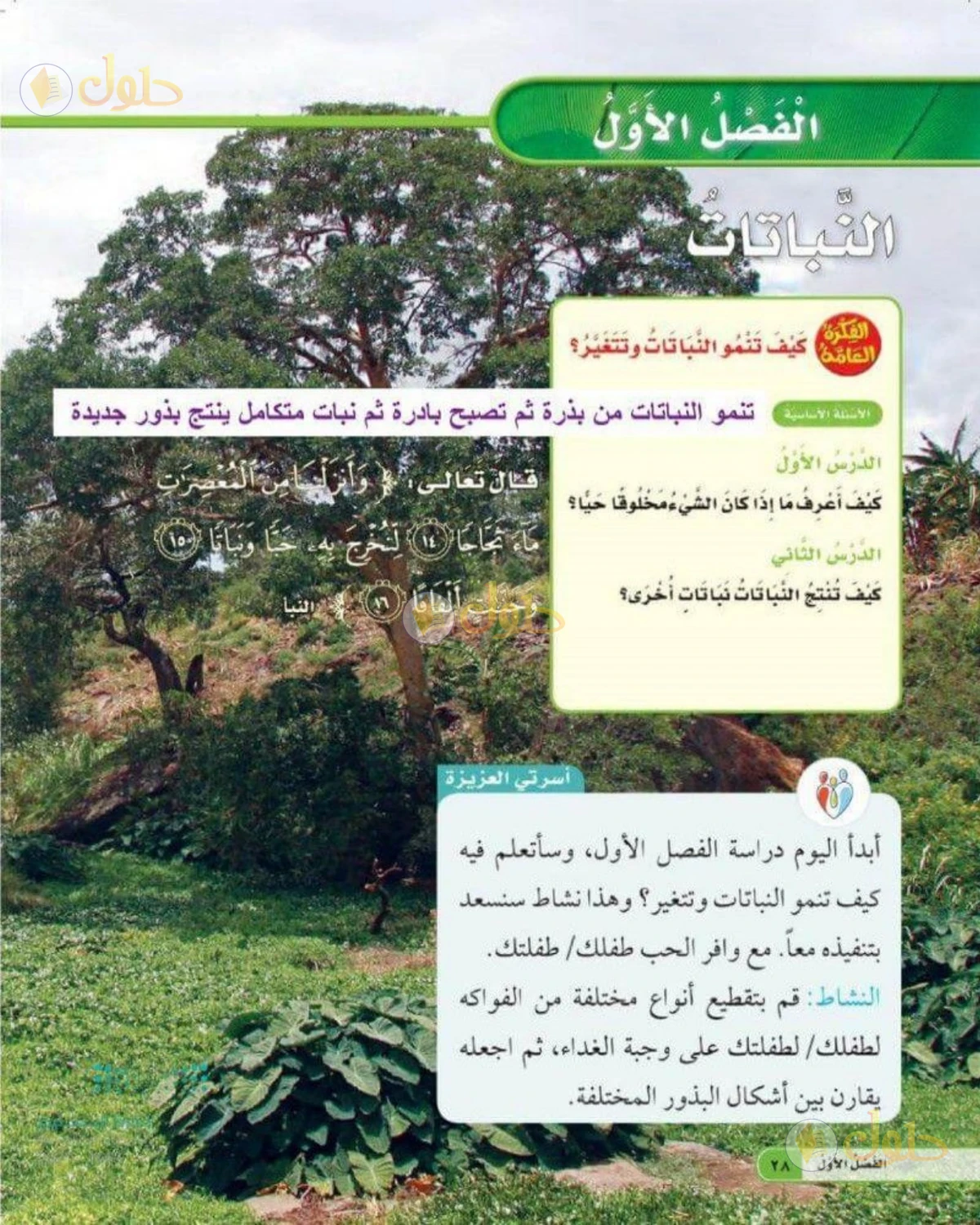 حل العلوم للصف الثاني الابتدائي صفحة 28