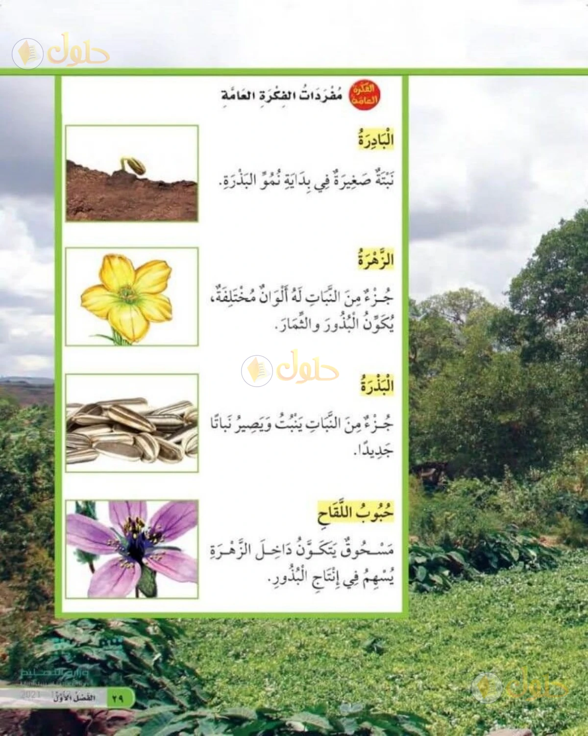 حل العلوم للصف الثاني الابتدائي صفحة 29