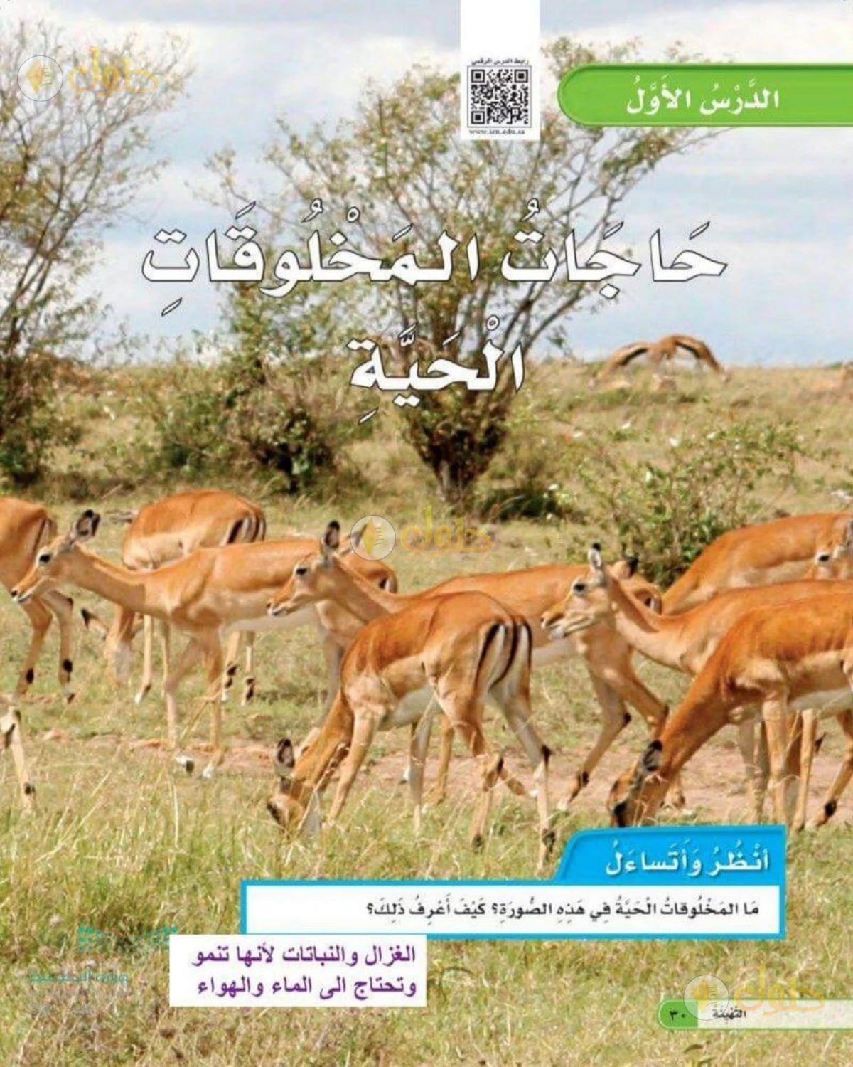 حل العلوم للصف الثاني الابتدائي صفحة 30