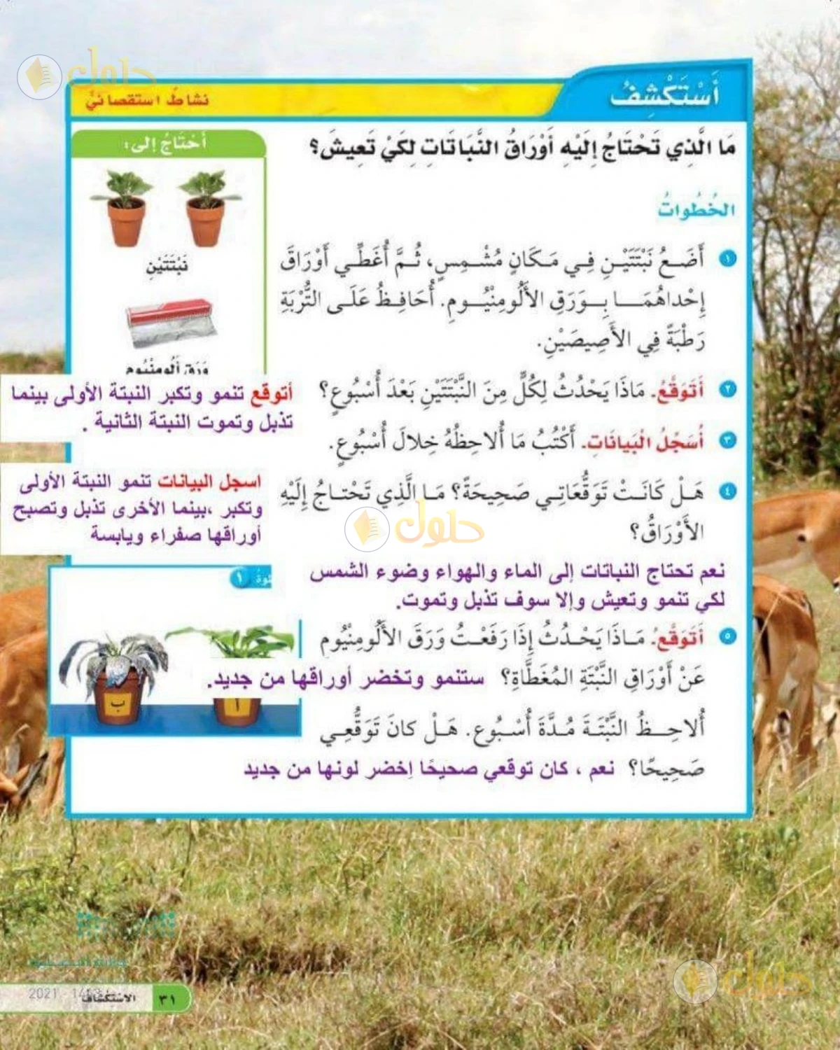 حل العلوم للصف الثاني الابتدائي صفحة 31