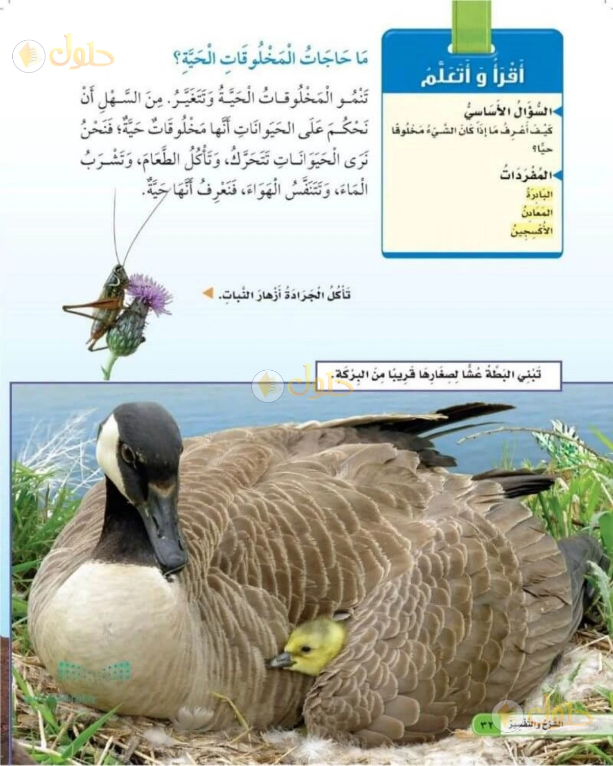 حل العلوم للصف الثاني الابتدائي صفحة 32
