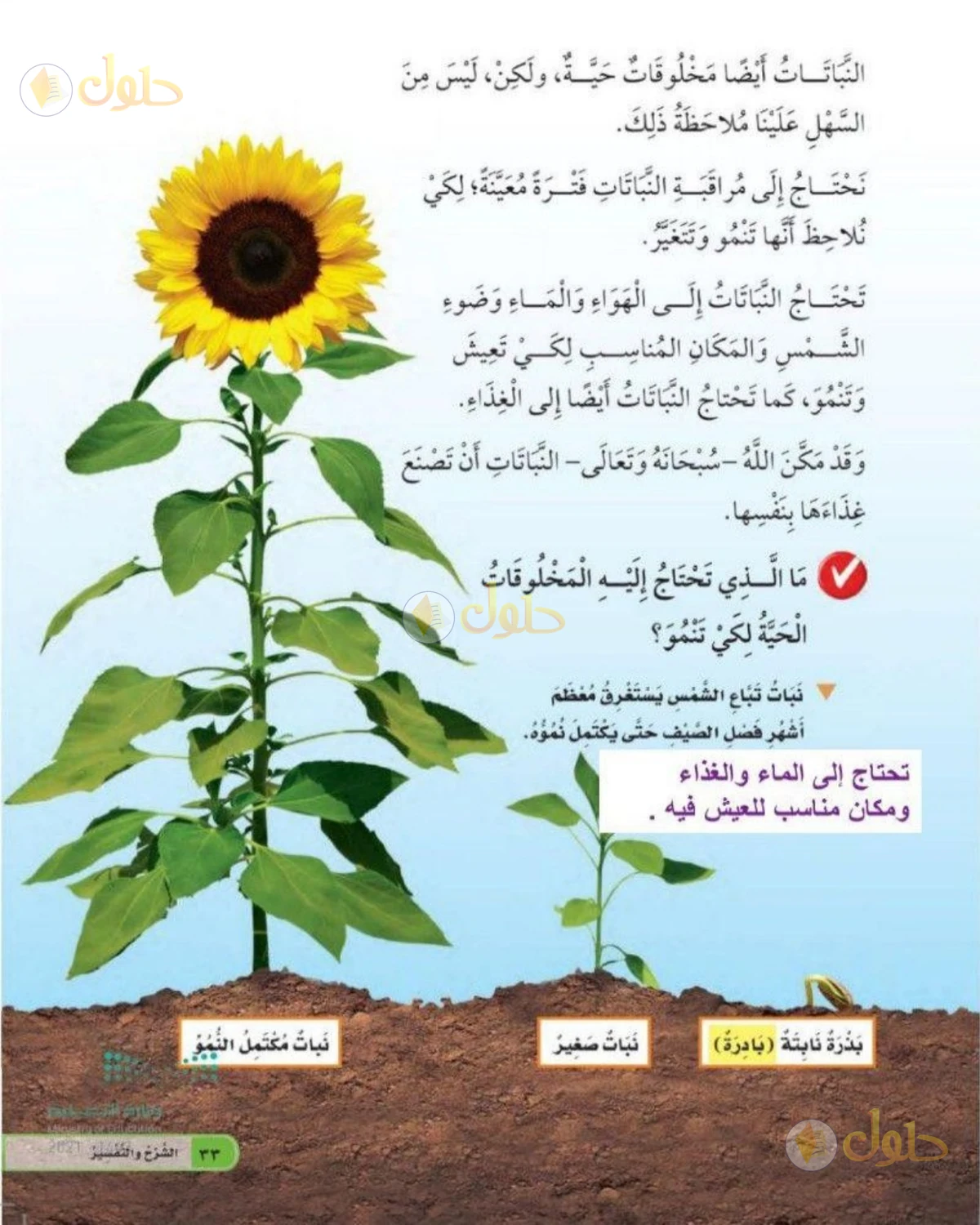 حل العلوم للصف الثاني الابتدائي صفحة 33