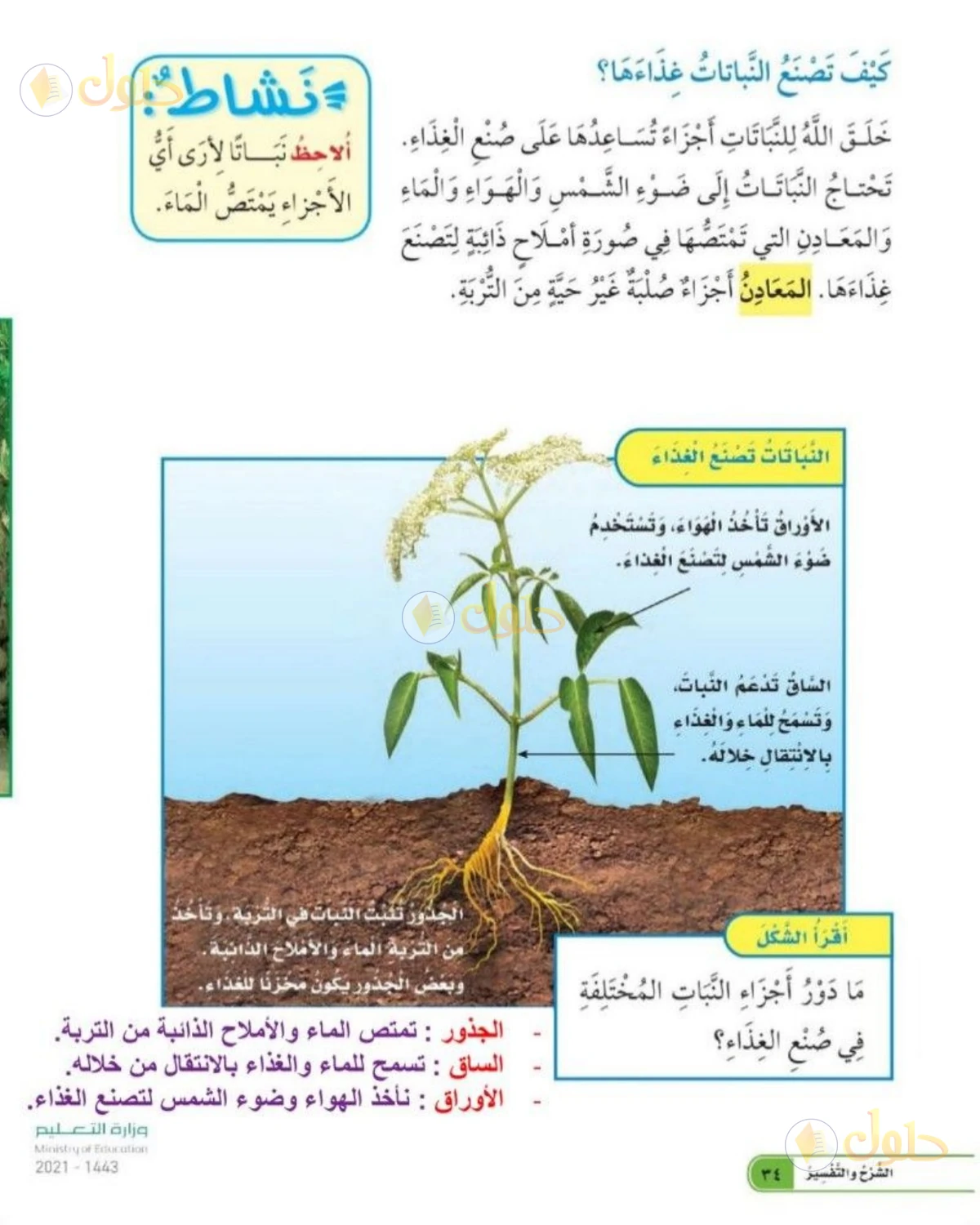 حل العلوم للصف الثاني الابتدائي صفحة 34