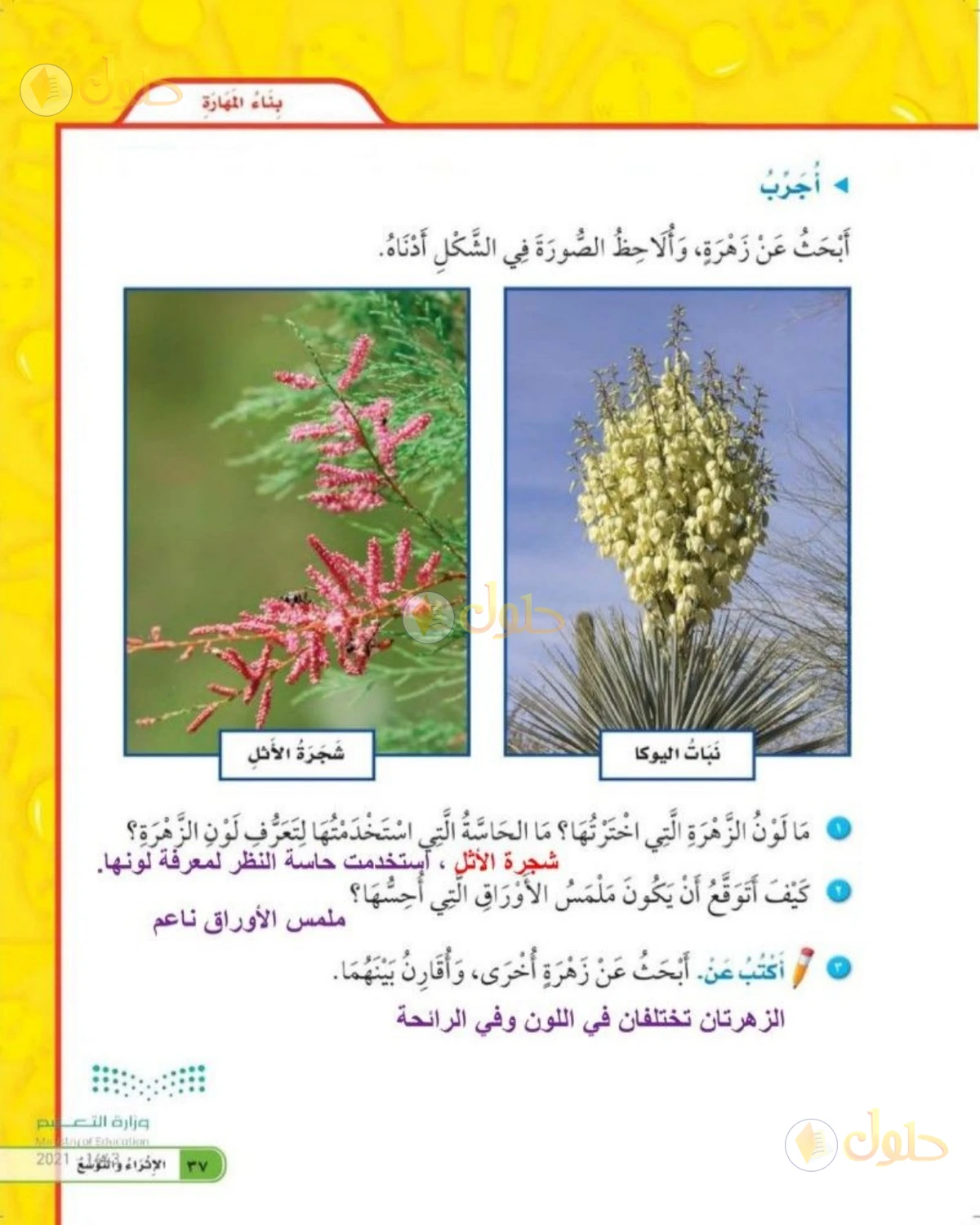 حل العلوم للصف الثاني الابتدائي صفحة 37