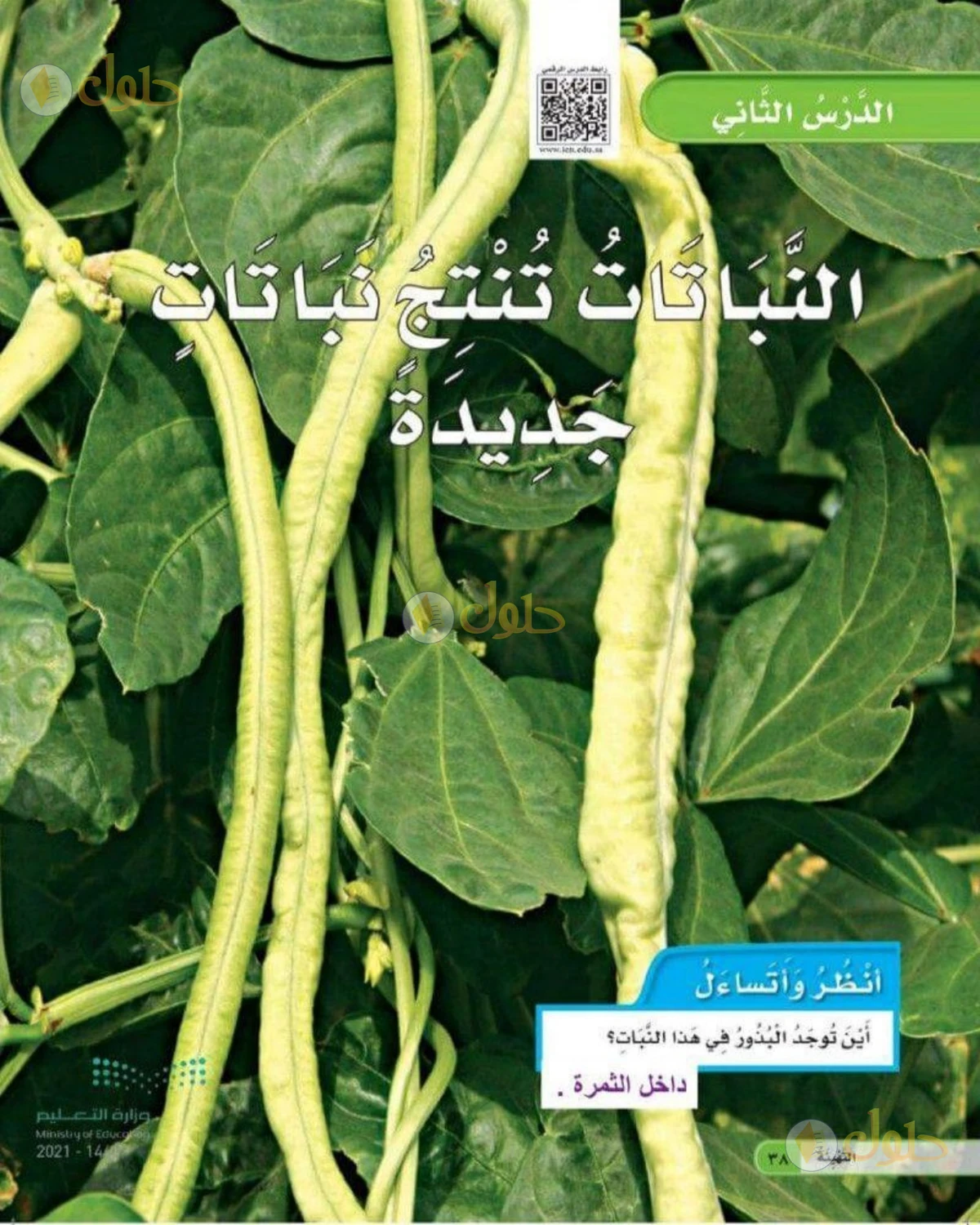 حل العلوم للصف الثاني الابتدائي صفحة 38