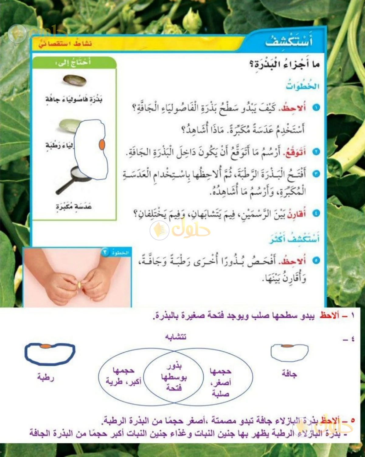 حل العلوم للصف الثاني الابتدائي صفحة 39