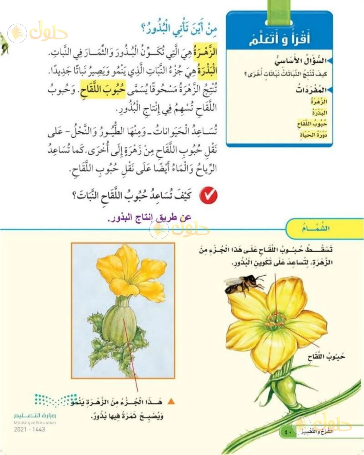 حل العلوم للصف الثاني الابتدائي صفحة 40