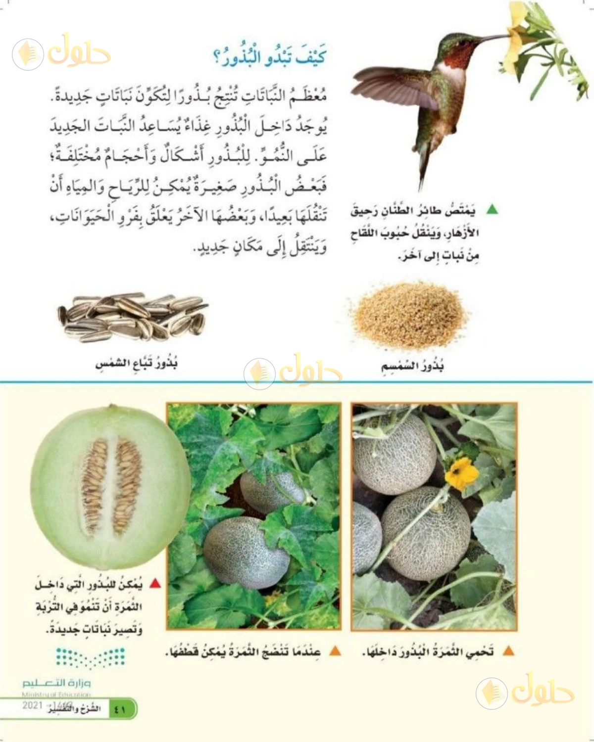 حل العلوم للصف الثاني الابتدائي صفحة 41