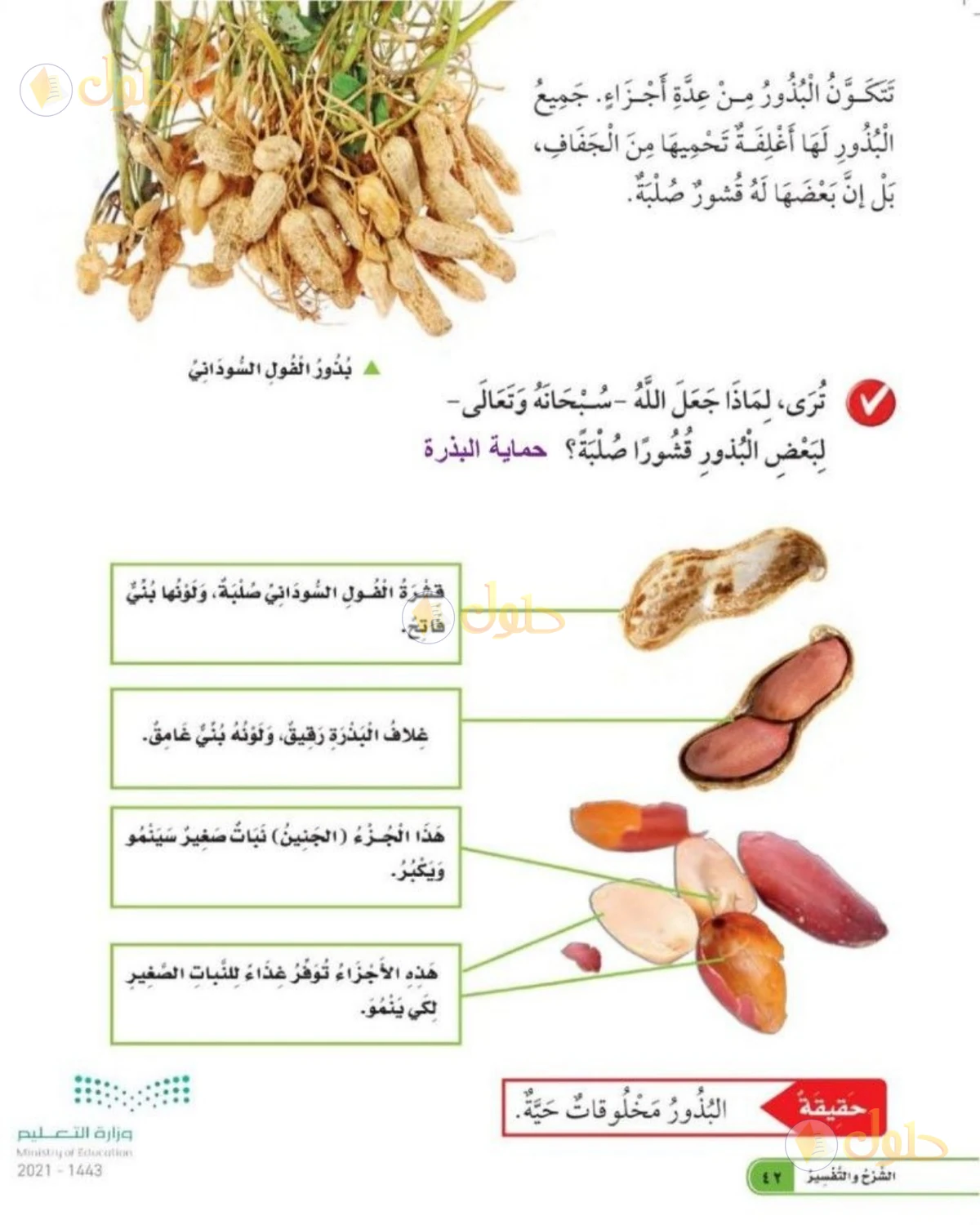 حل العلوم للصف الثاني الابتدائي صفحة 42
