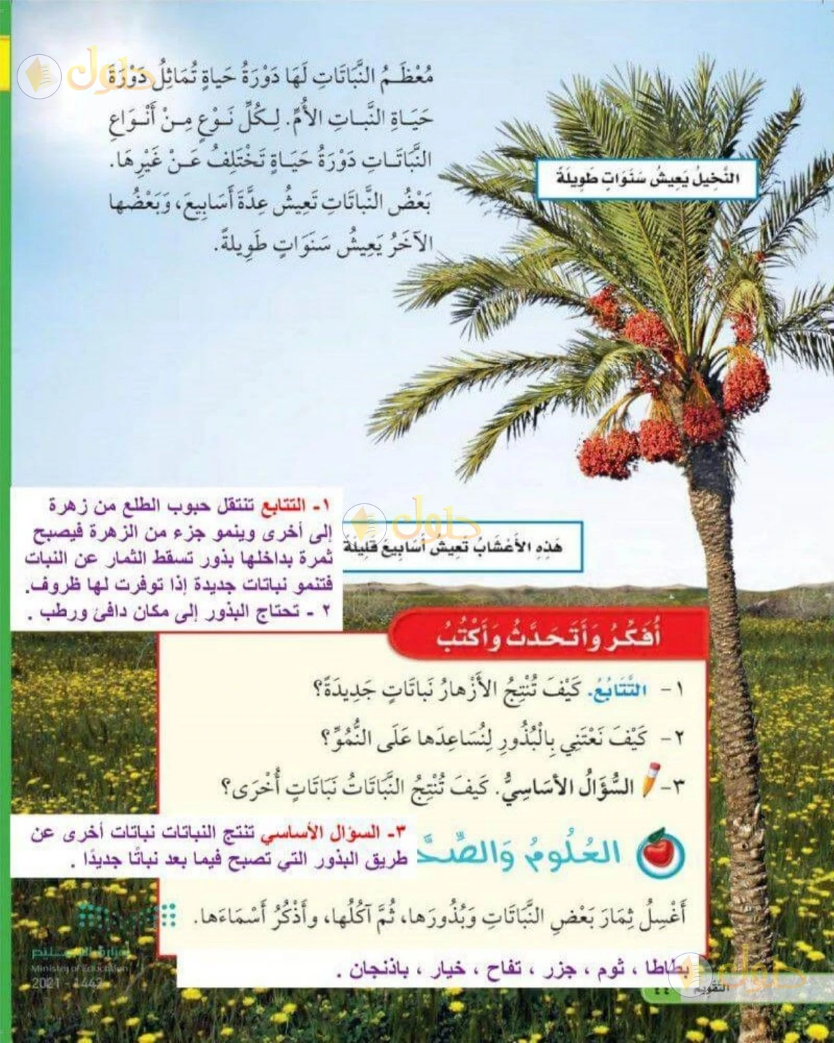 حل العلوم للصف الثاني الابتدائي صفحة 44
