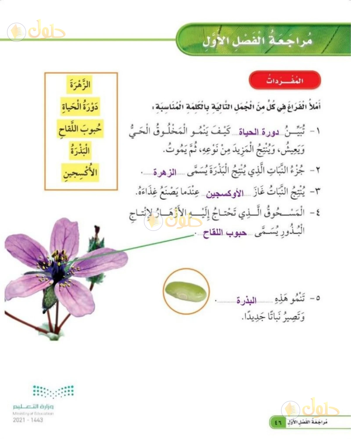 حل العلوم للصف الثاني الابتدائي صفحة 46