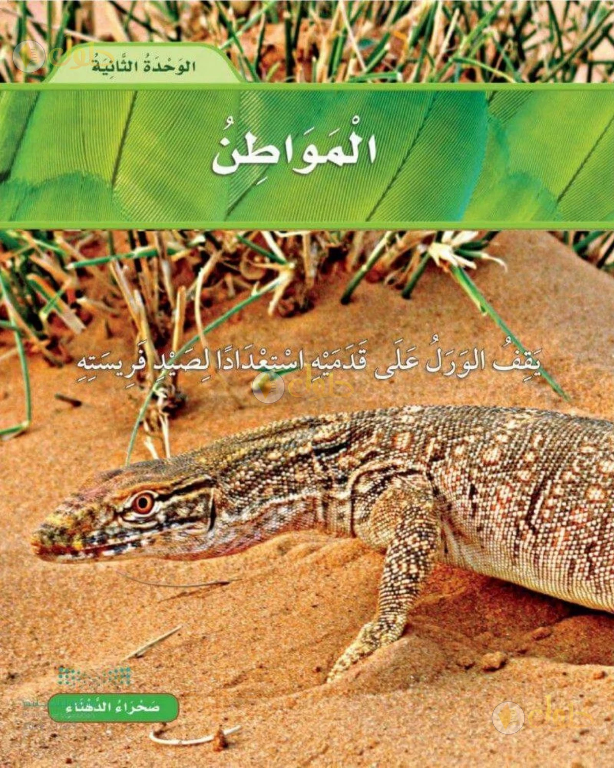 حل العلوم للصف الثاني الابتدائي صفحة 73