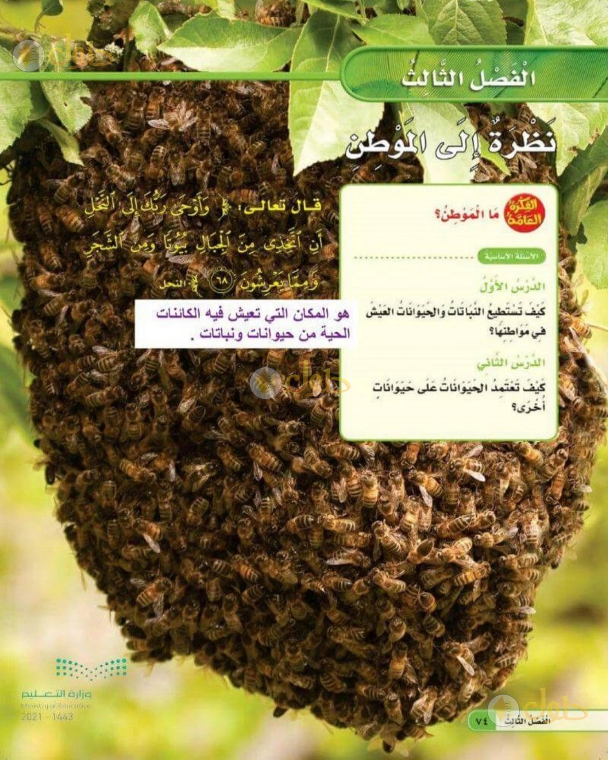 حل العلوم للصف الثاني الابتدائي صفحة 74