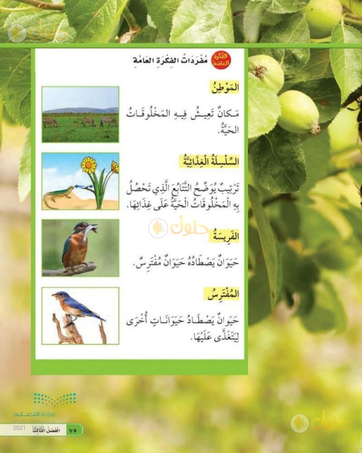 حل العلوم للصف الثاني الابتدائي صفحة 75