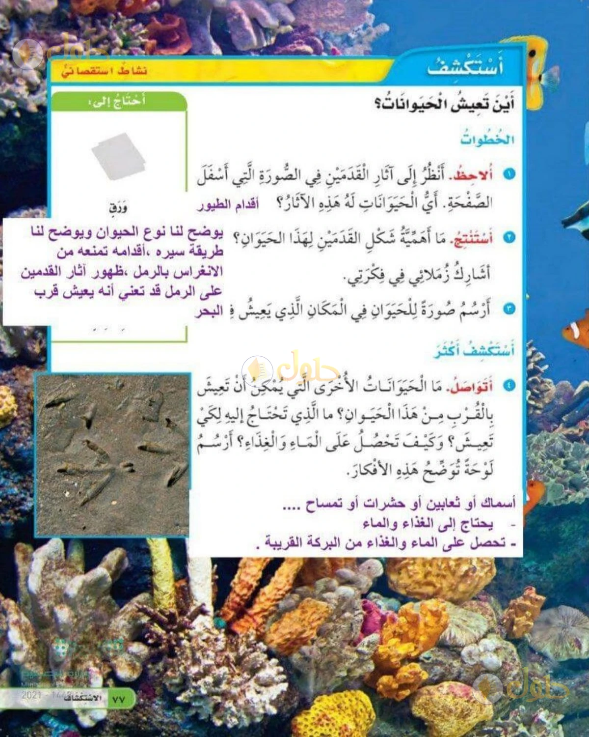 حل العلوم للصف الثاني الابتدائي صفحة 77