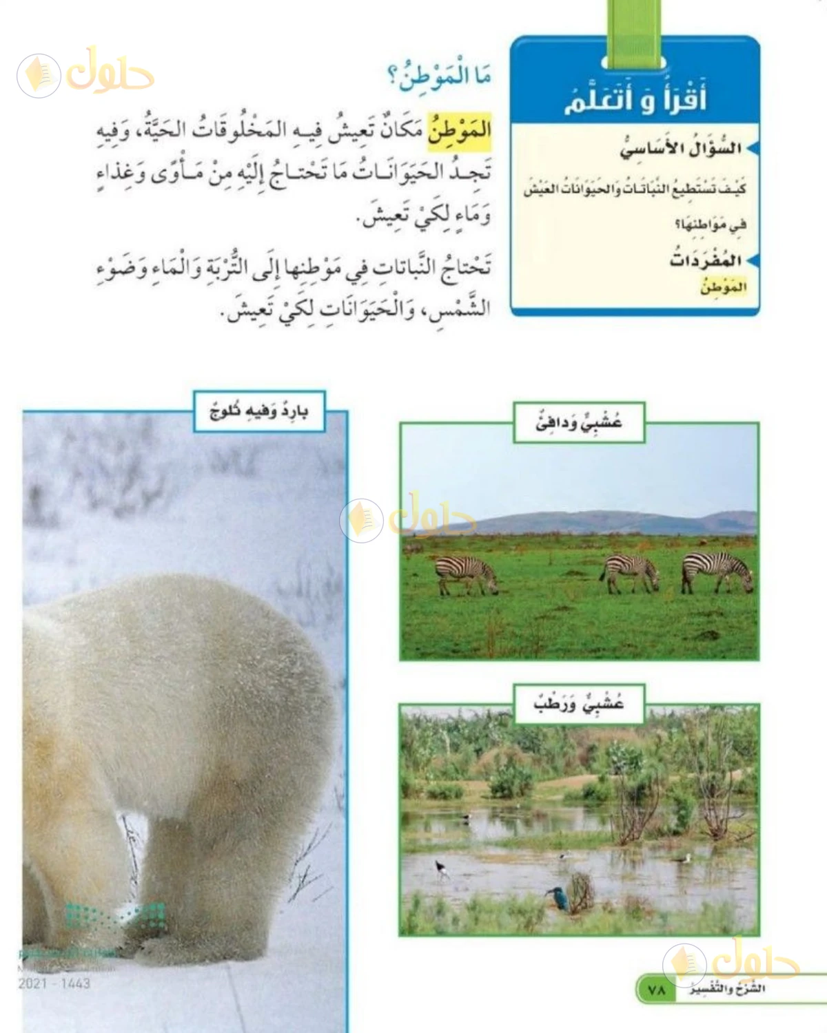 حل العلوم للصف الثاني الابتدائي صفحة 78