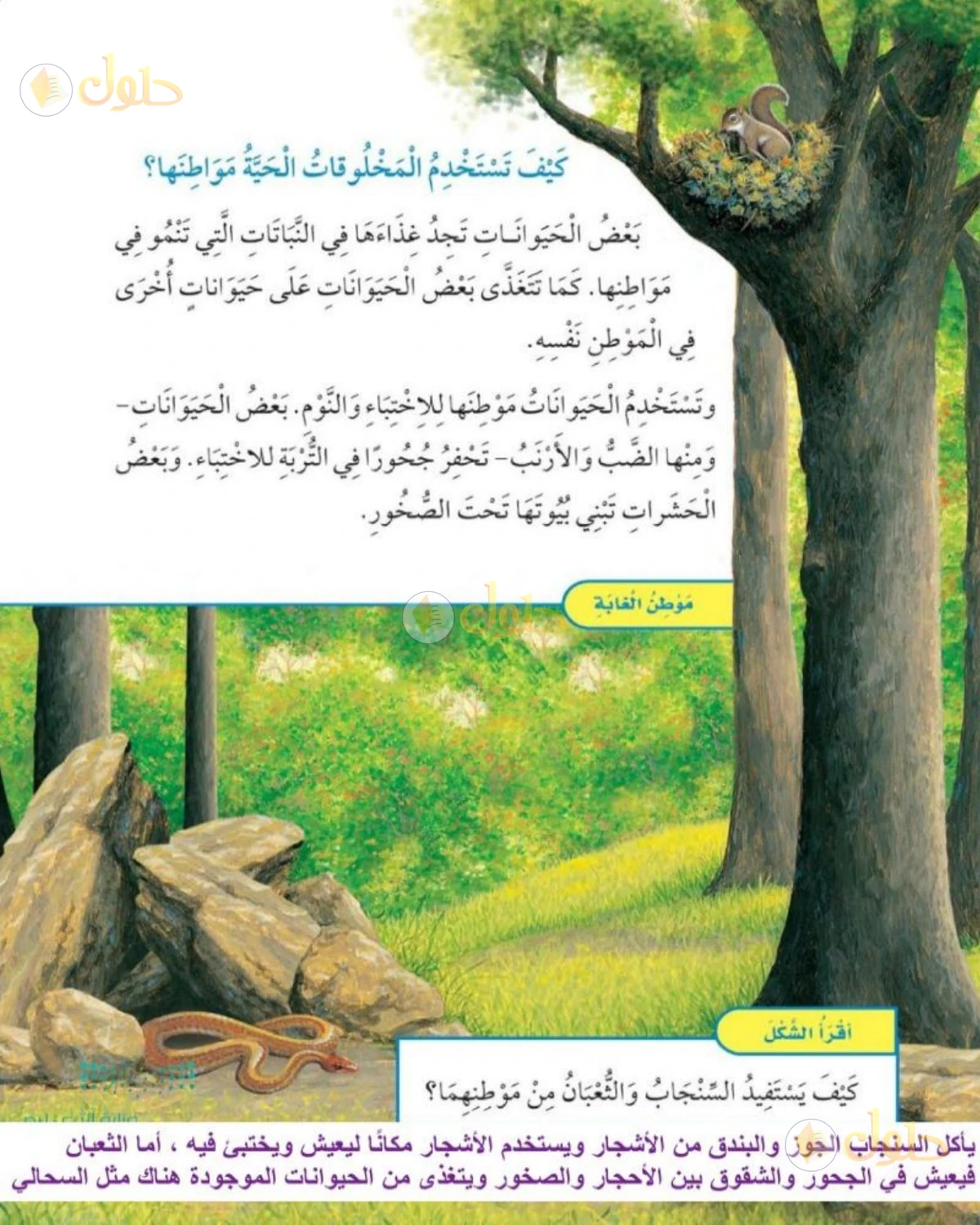 حل العلوم للصف الثاني الابتدائي صفحة 80