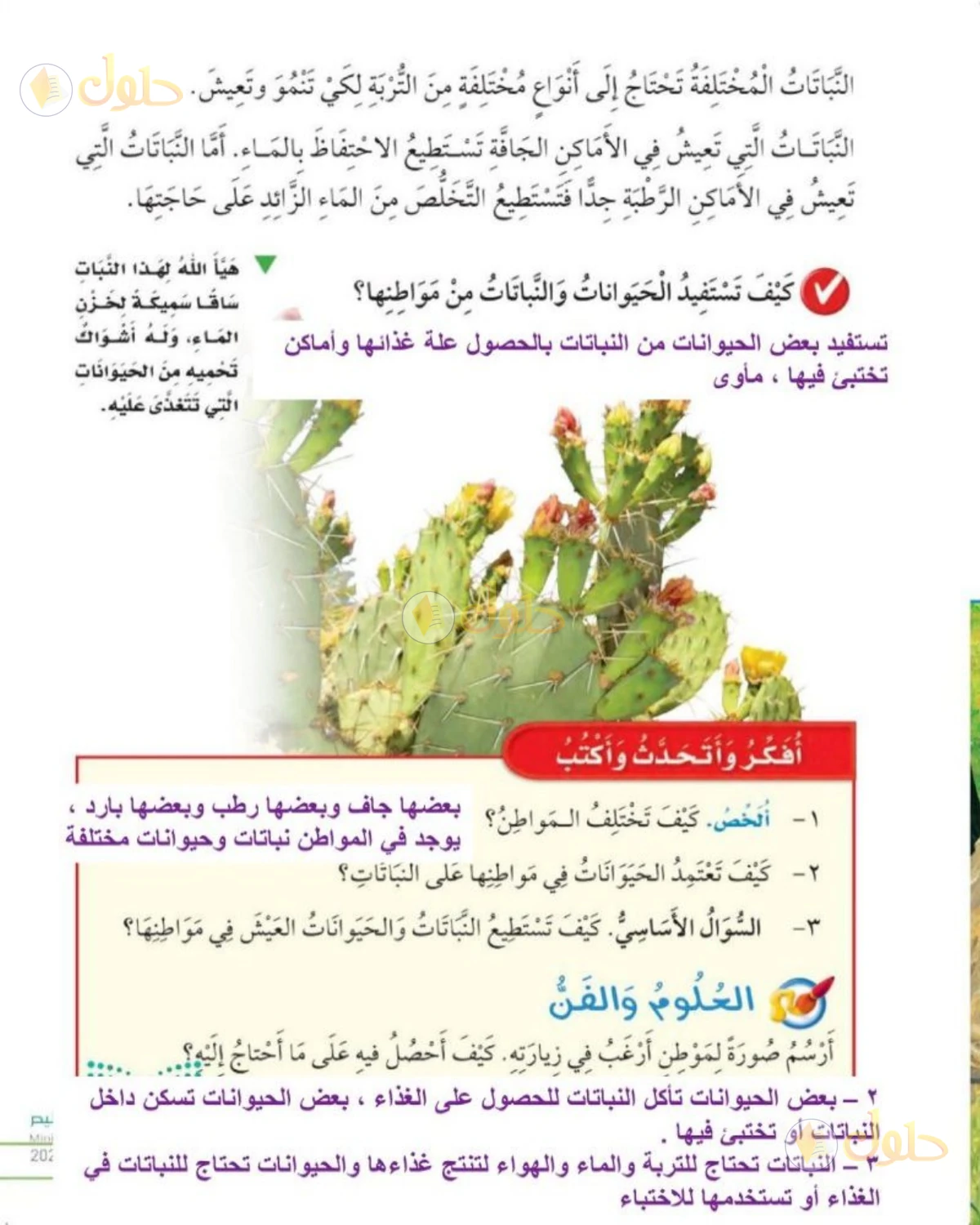 حل العلوم للصف الثاني الابتدائي صفحة 81