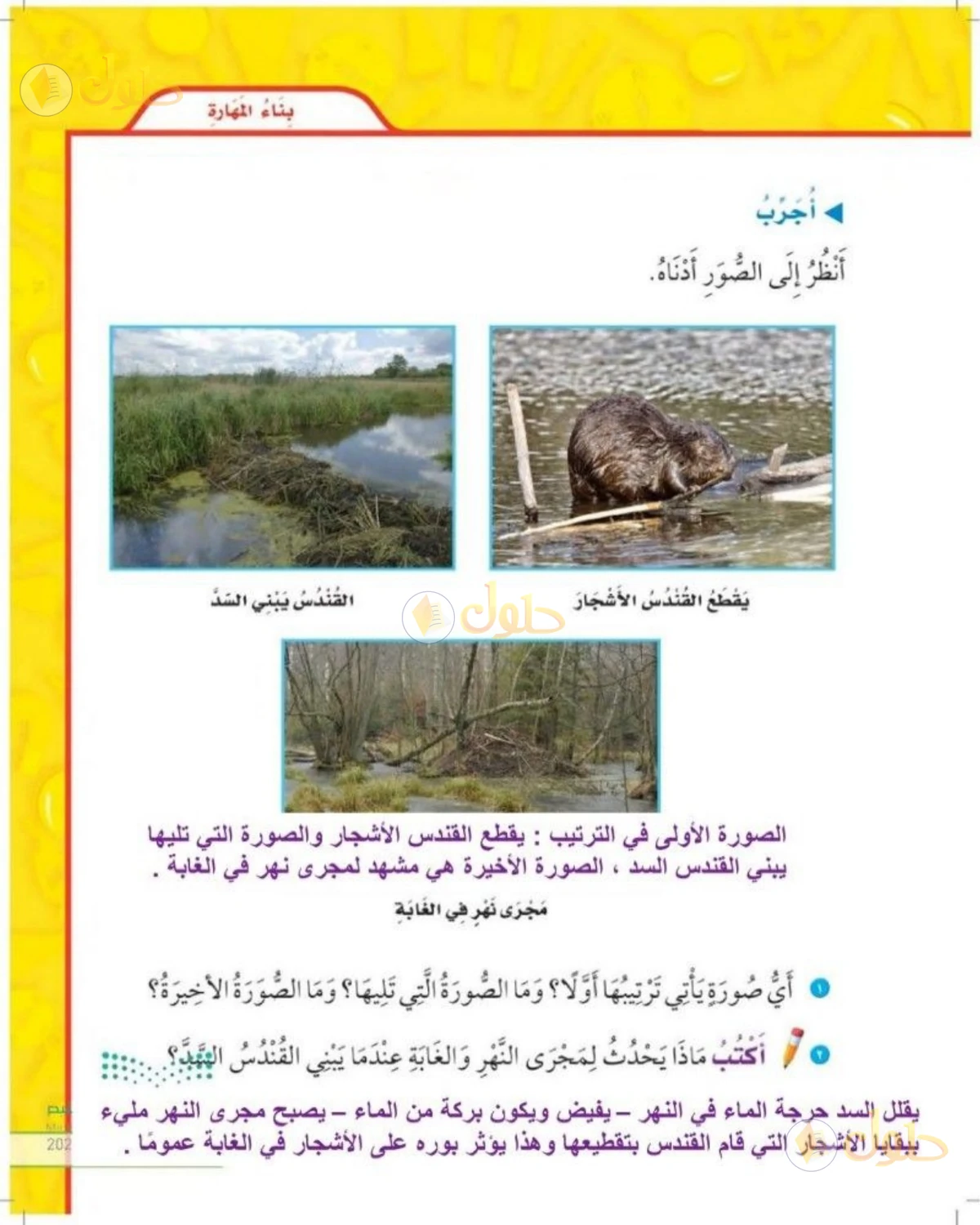 حل العلوم للصف الثاني الابتدائي صفحة 83