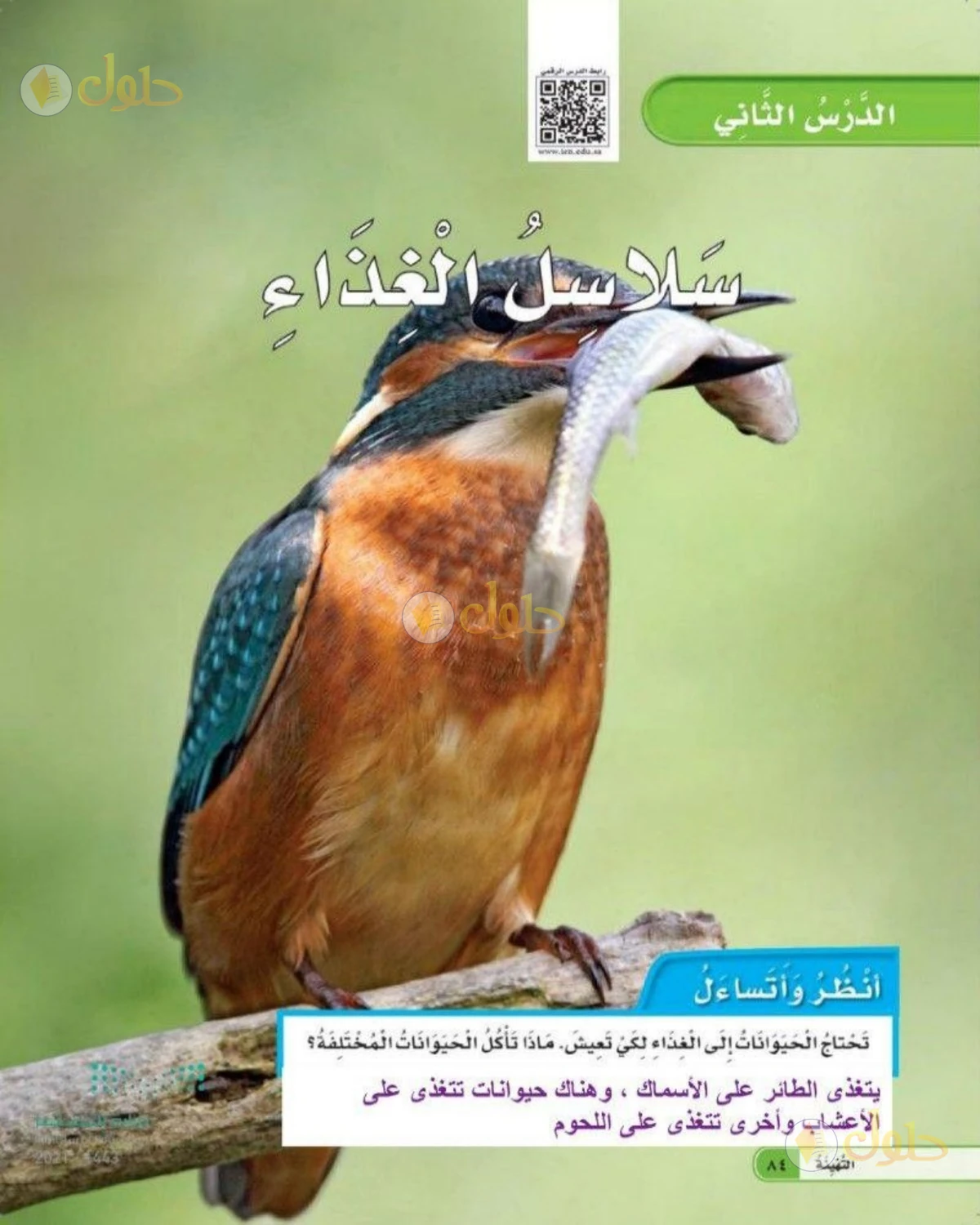 حل العلوم للصف الثاني الابتدائي صفحة 84