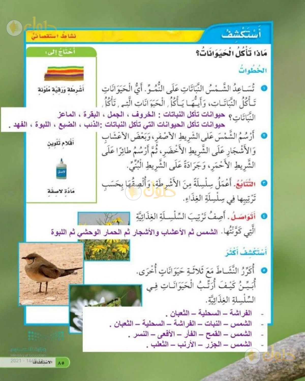 حل العلوم للصف الثاني الابتدائي صفحة 85