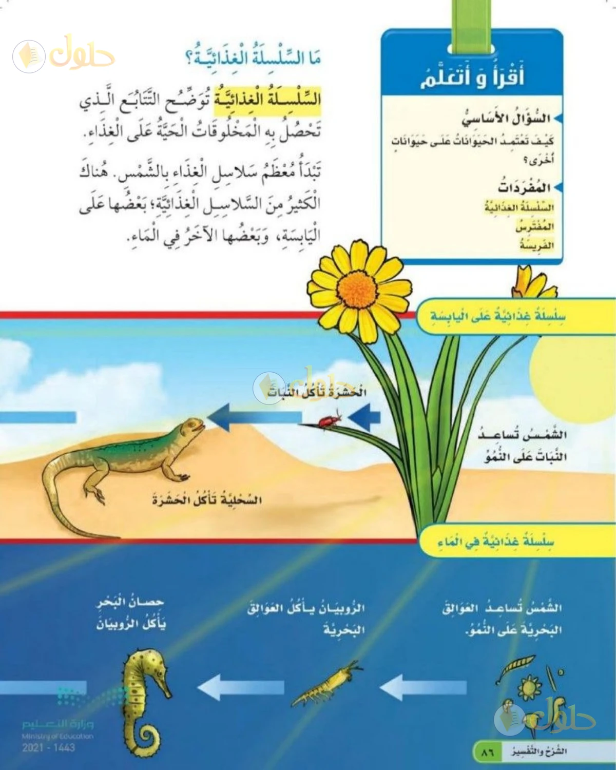 حل العلوم للصف الثاني الابتدائي صفحة 86
