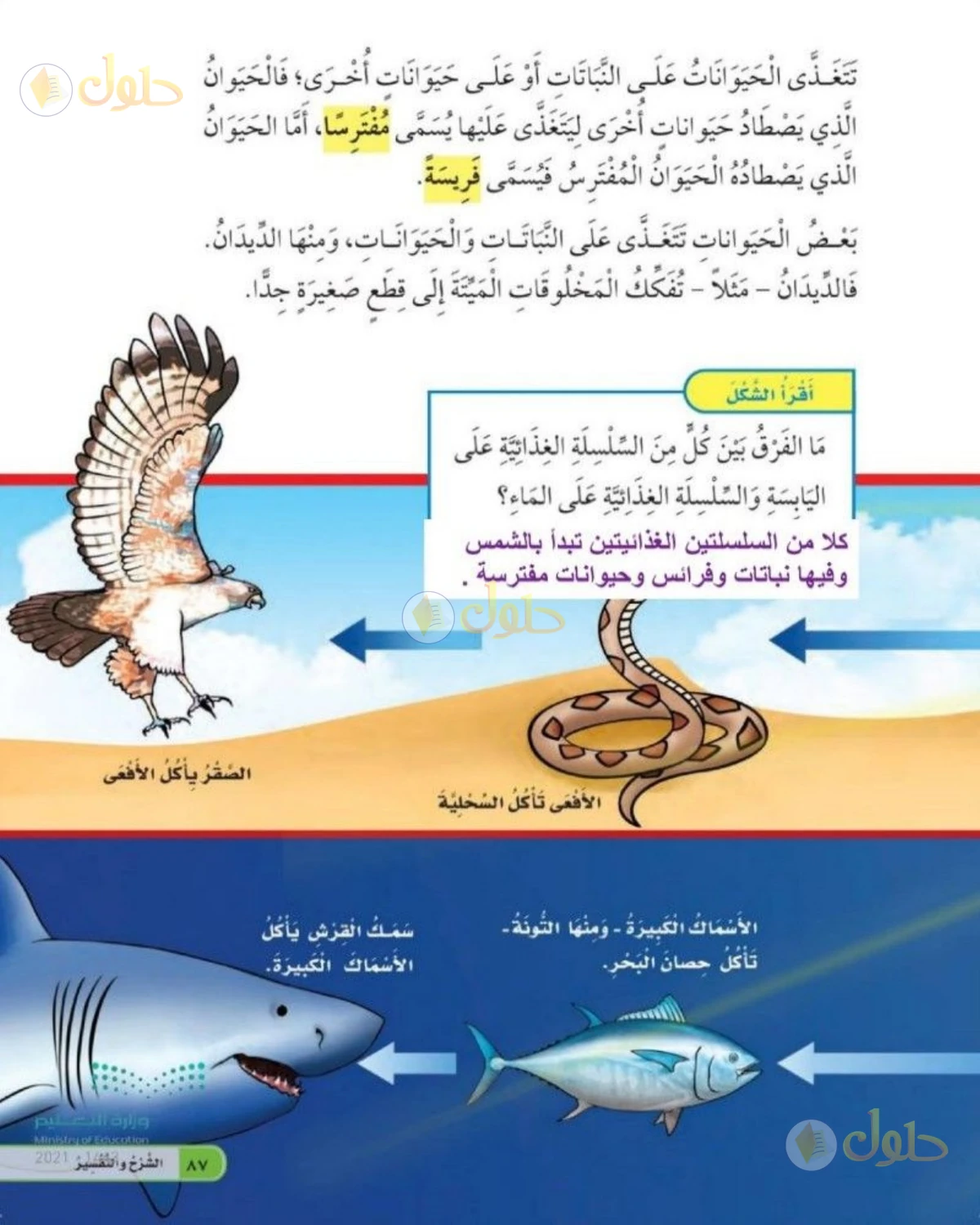 حل العلوم للصف الثاني الابتدائي صفحة 87