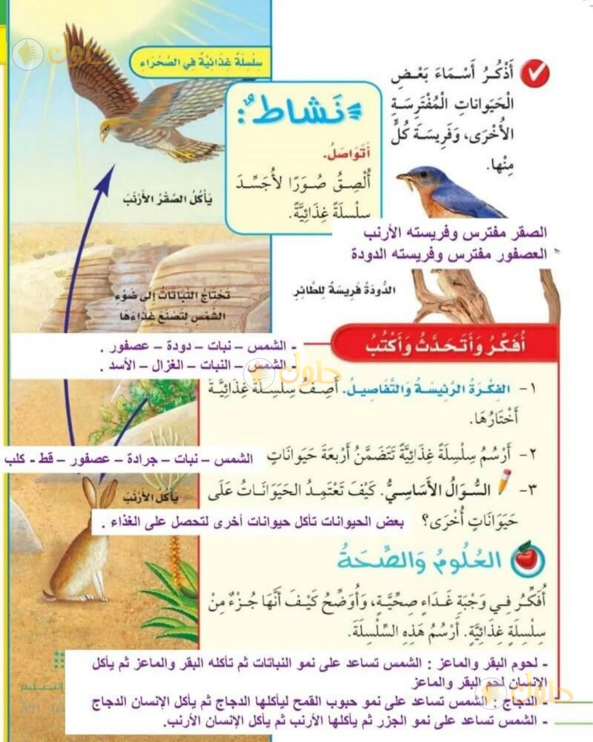 حل العلوم للصف الثاني الابتدائي صفحة 88