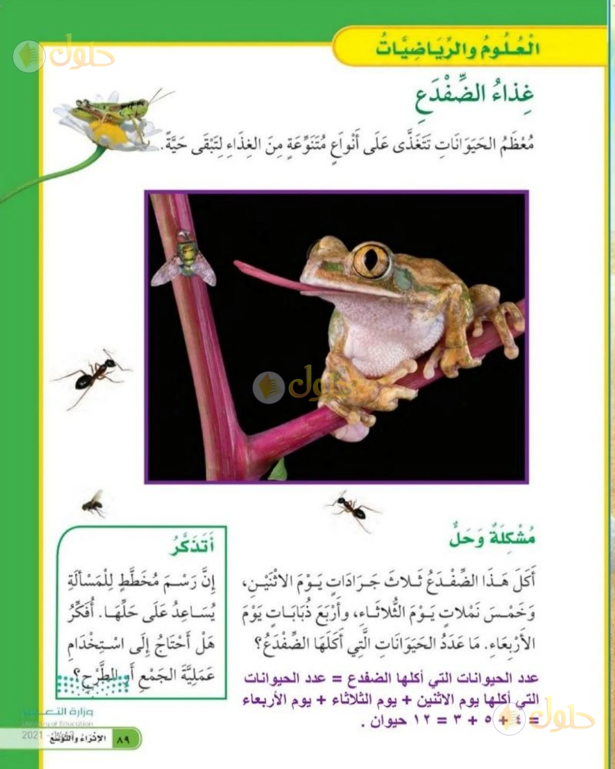 حل العلوم للصف الثاني الابتدائي صفحة 89