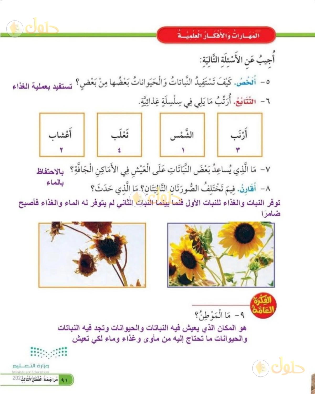 حل العلوم للصف الثاني الابتدائي صفحة 91