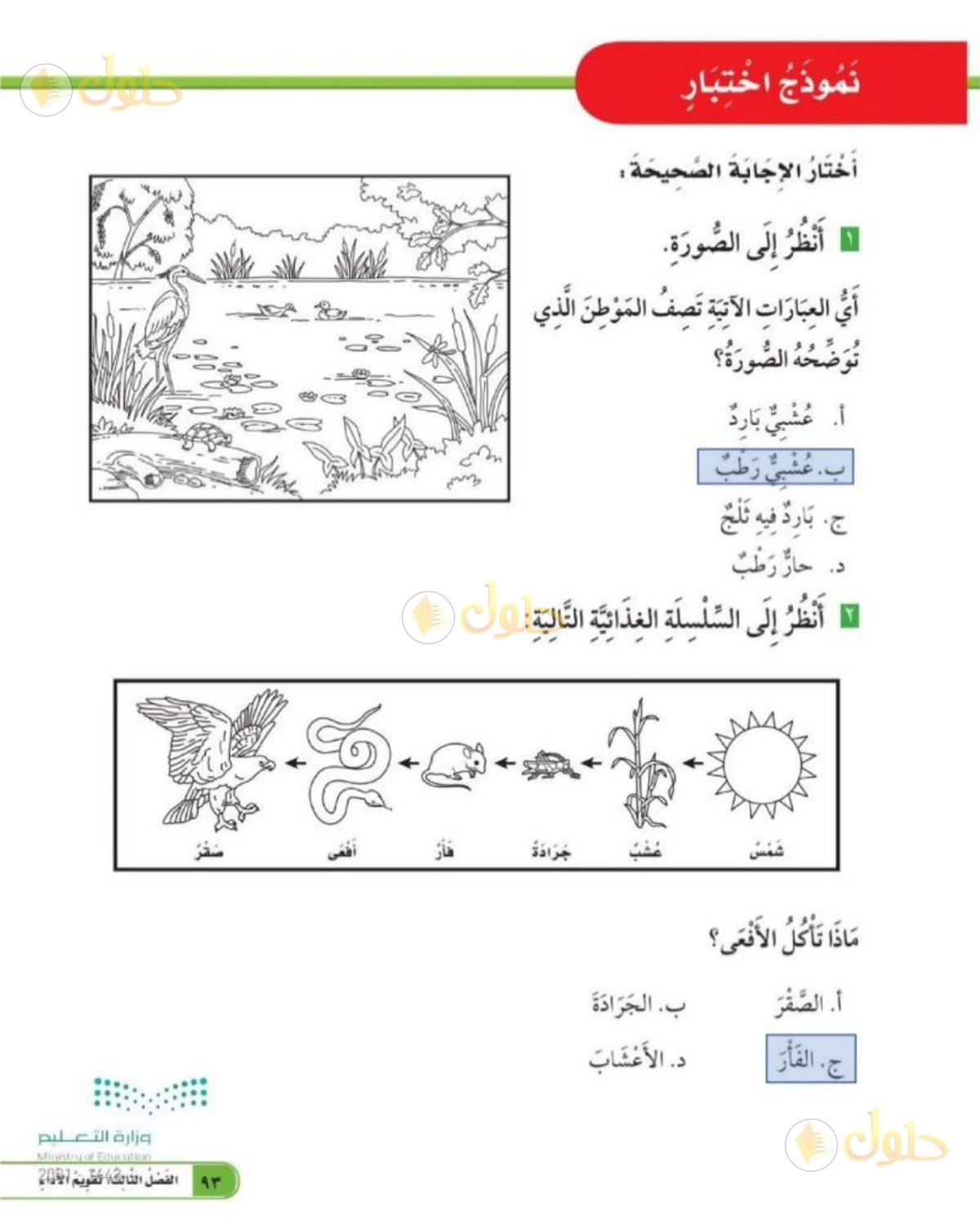 حل العلوم للصف الثاني الابتدائي صفحة 93