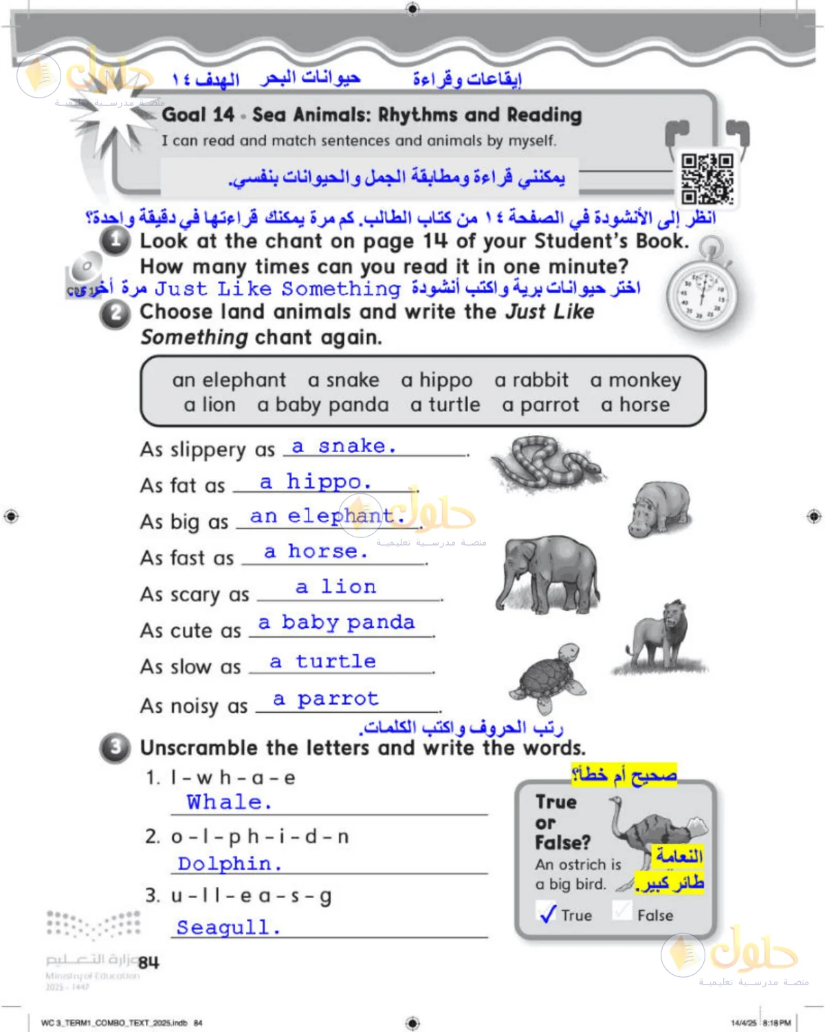 حل اللغة الإنجليزية للصف الثالث الابتدائي صفحة 84