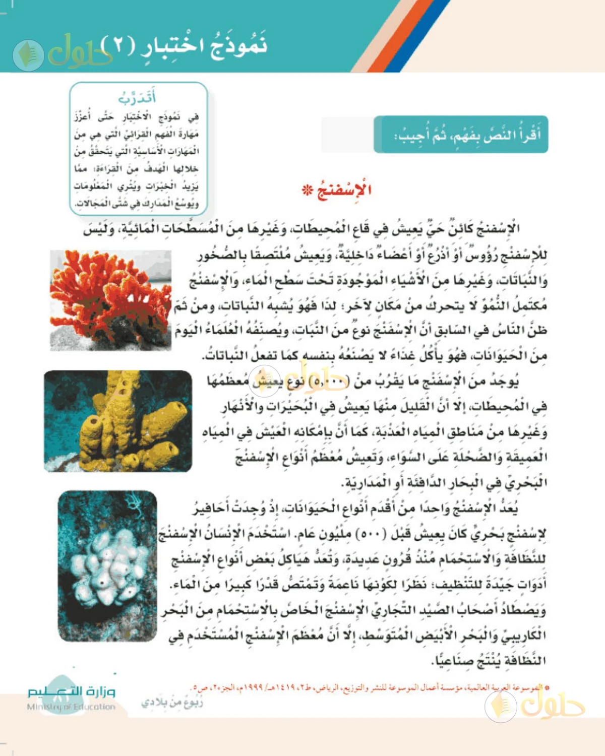 حل لغتي الصف الثالث الابتدائي صفحة 83
