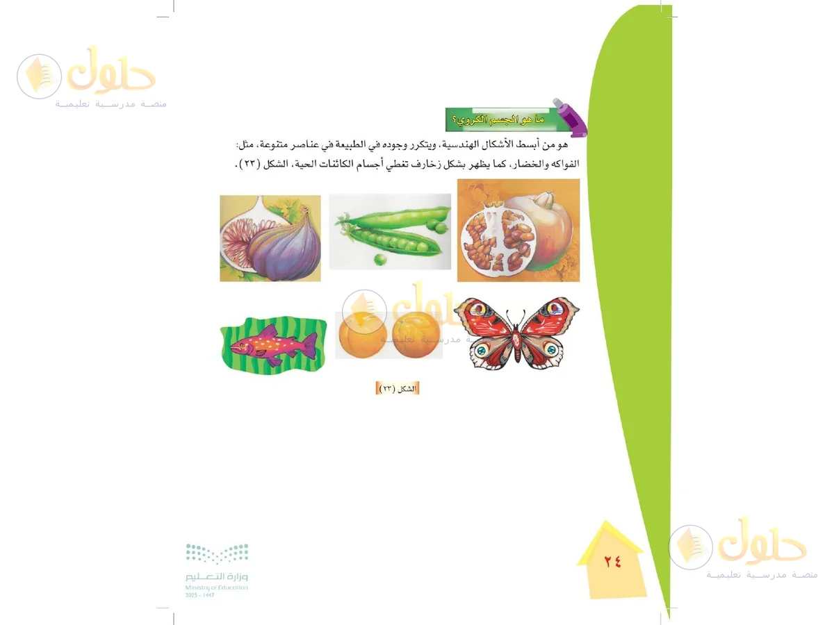 حل التربية الفنية للصف الرابع الابتدائي صفحة 24