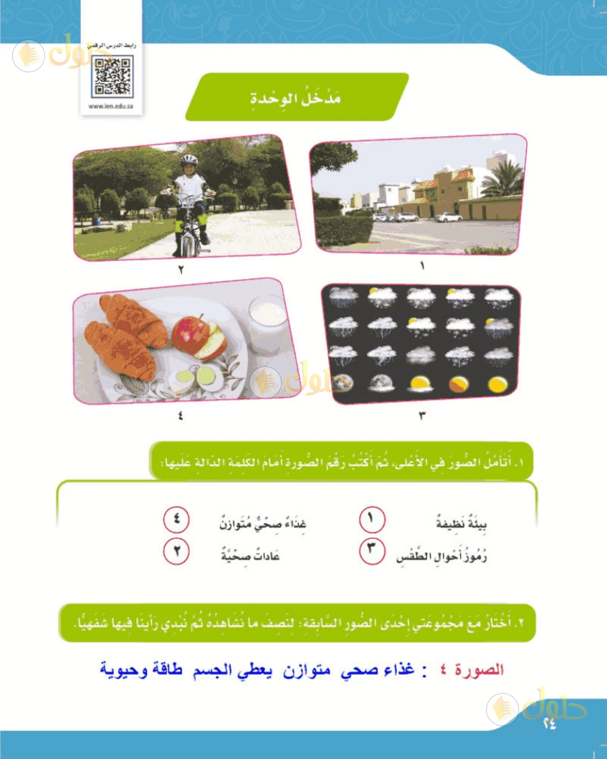 حل لغتي الصف الرابع الابتدائي صفحة 24