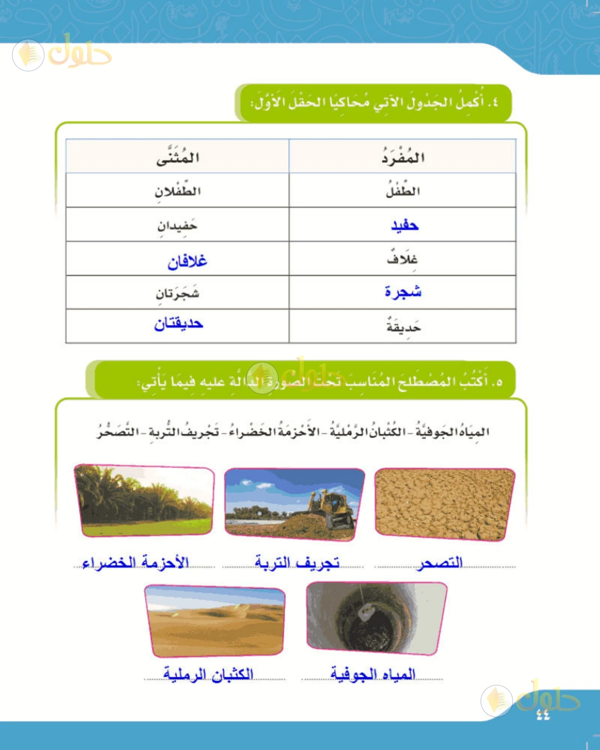 حل لغتي الصف الرابع الابتدائي صفحة 44