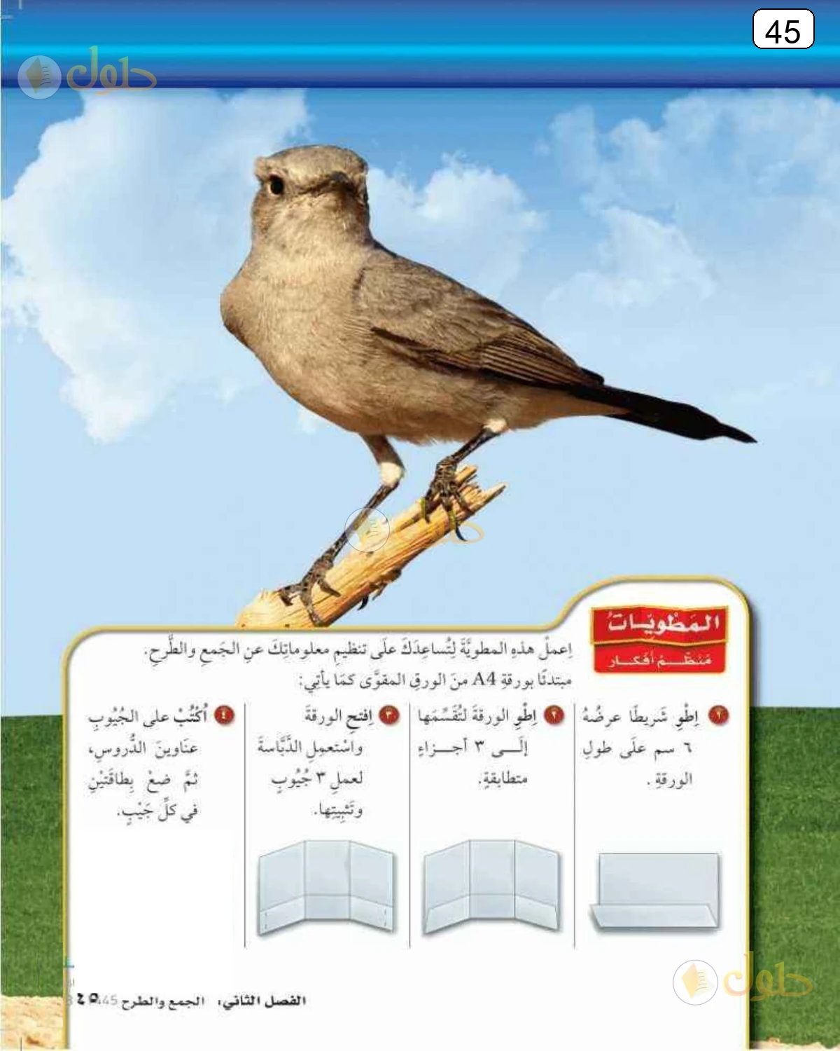 حل الرياضيات للصف الرابع الابتدائي صفحة 45 الجزء 1