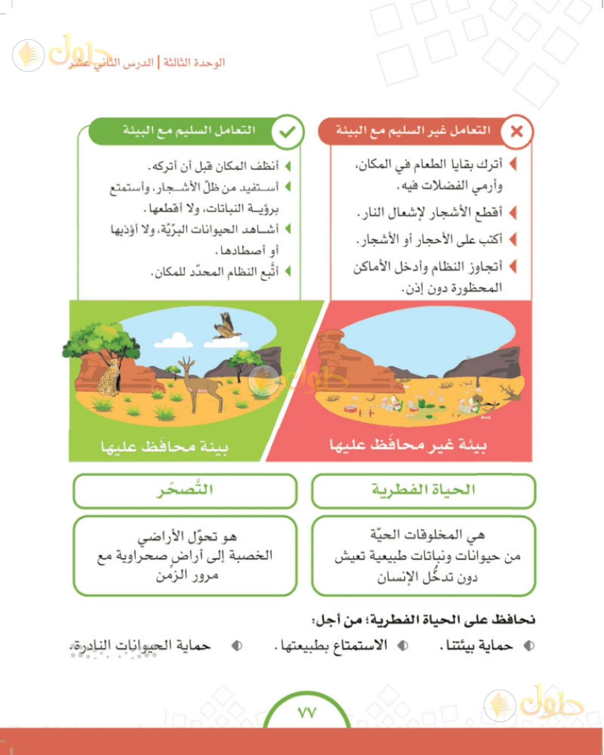 حل الدراسات الاجتماعية للصف الرابع الابتدائي صفحة 77
