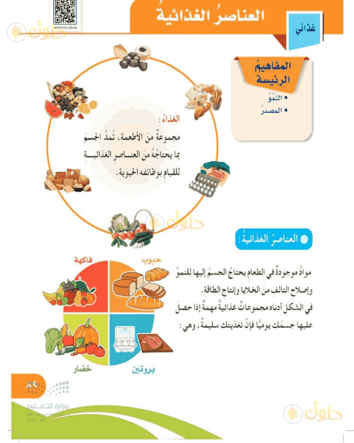 حل المهارات الحياتية والأسرية للصف الخامس الابتدائي صفحة 89