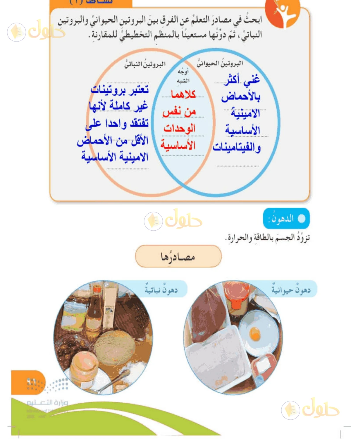 حل المهارات الحياتية والأسرية للصف الخامس الابتدائي صفحة 91