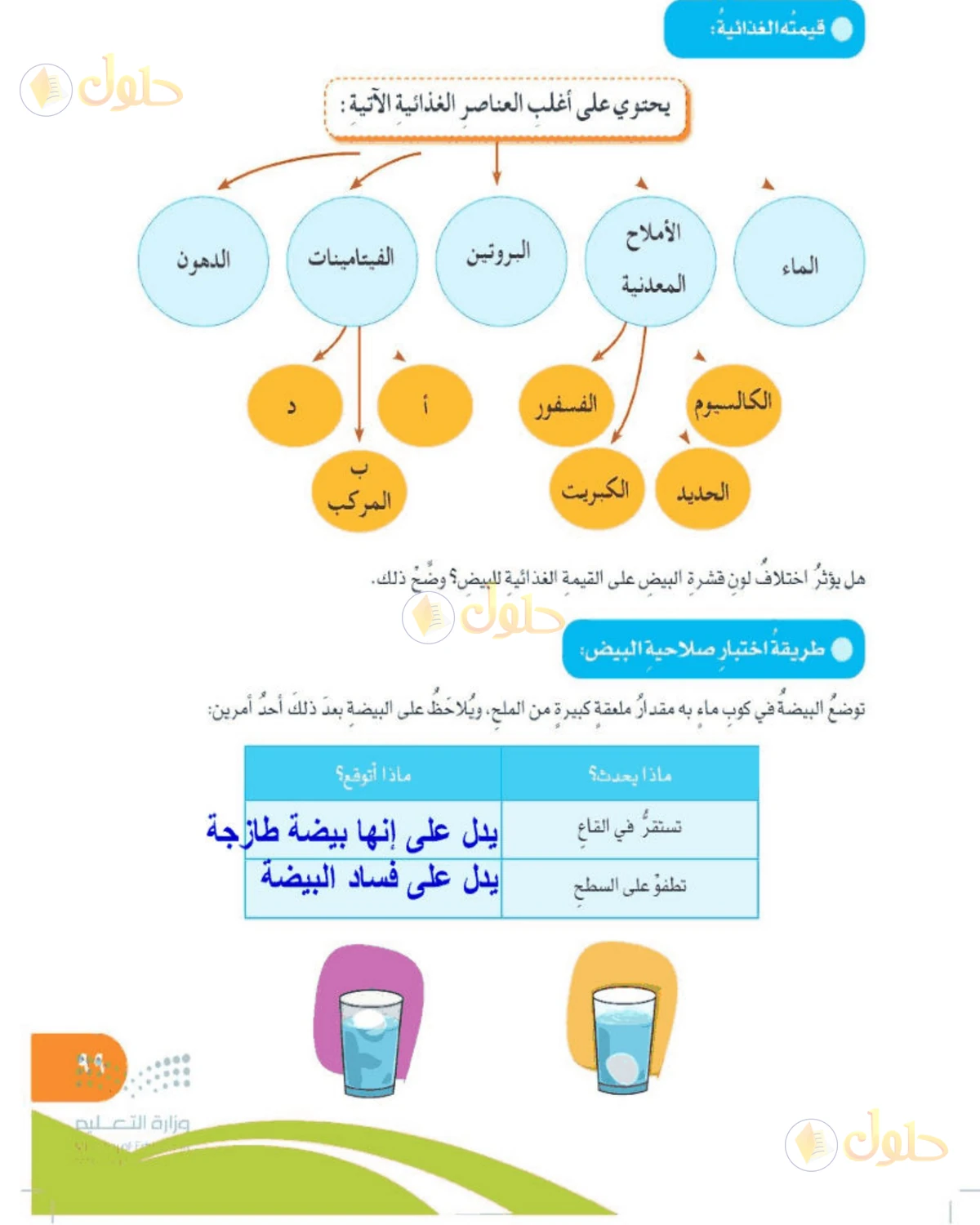 حل المهارات الحياتية والأسرية للصف الخامس الابتدائي صفحة 99
