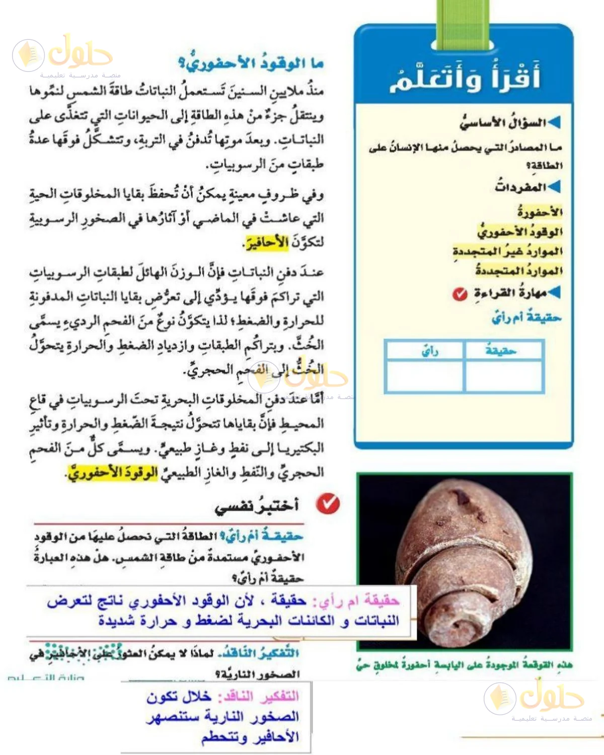 حل العلوم للصف الخامس الابتدائي صفحة 176
