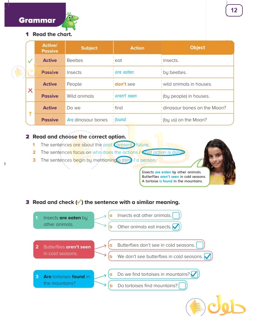 حل كتاب الطالب اللغة الإنجليزية سادس ابتدائي صفحة 12 — Living Things — Grammar