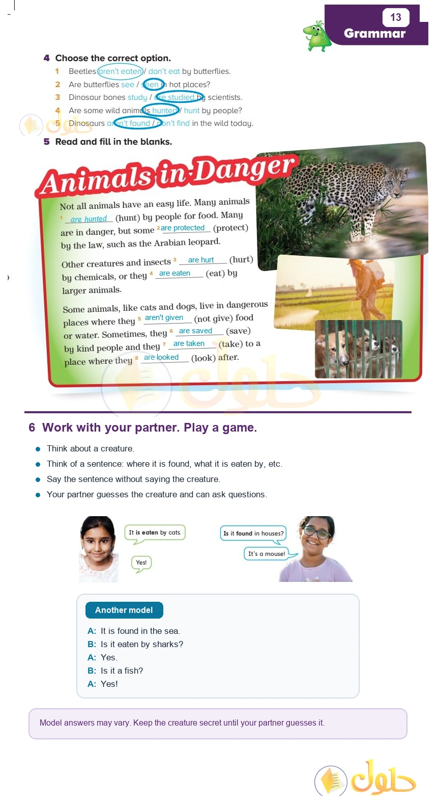 حل كتاب الطالب اللغة الإنجليزية سادس ابتدائي صفحة 13 — Living Things — Grammar