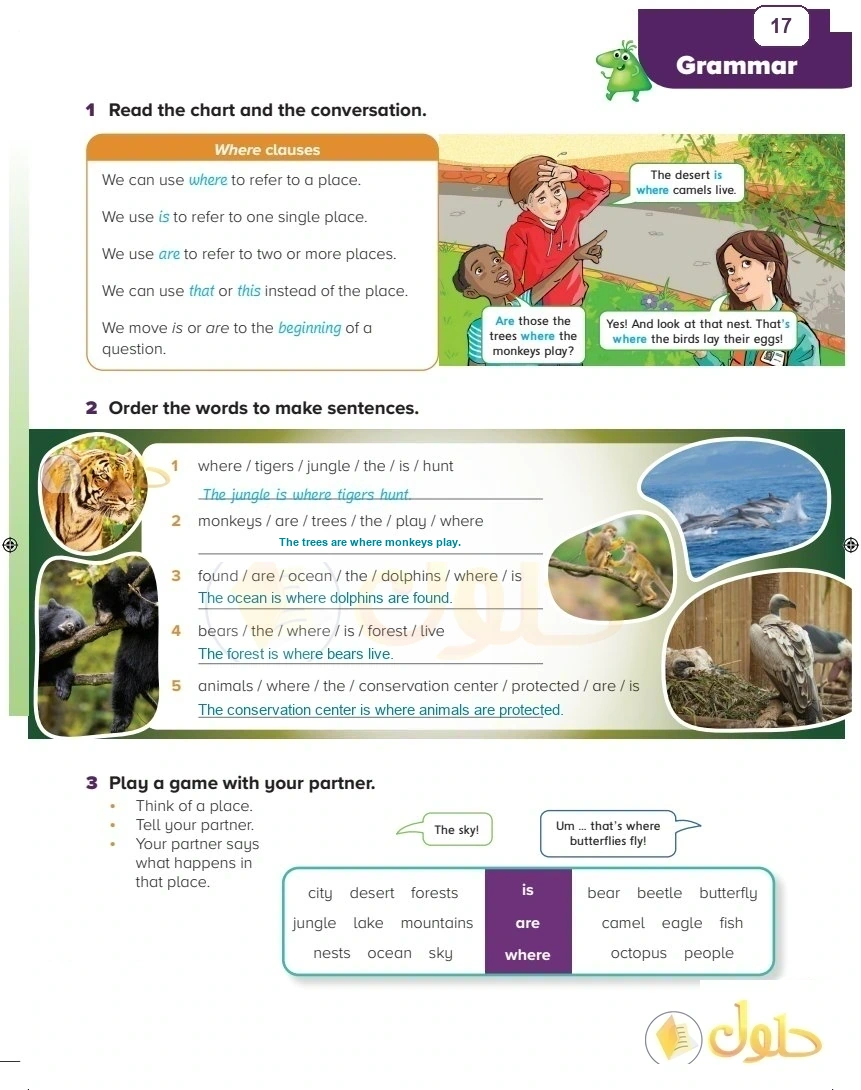 حل كتاب الطالب اللغة الإنجليزية سادس ابتدائي صفحة 17 — Living Things — Grammar