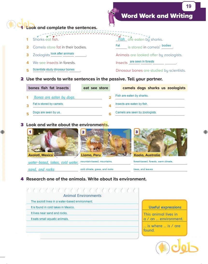 حل كتاب الطالب اللغة الإنجليزية سادس ابتدائي صفحة 19 — Living Things — Word Work and Writing