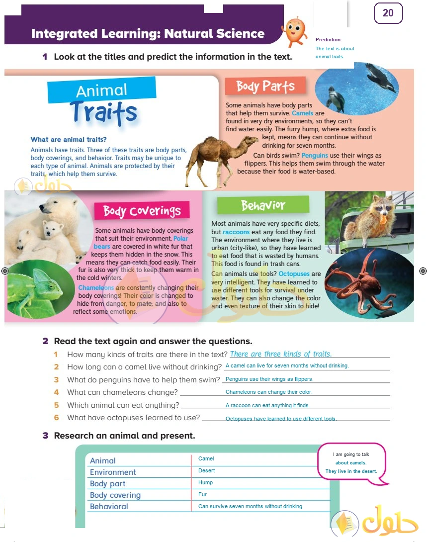 حل كتاب الطالب اللغة الإنجليزية سادس ابتدائي صفحة 20 — Living Things — Activities