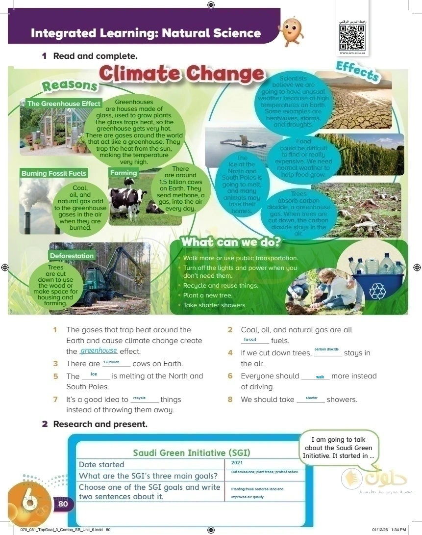 حل كتاب الطالب اللغة الإنجليزية سادس ابتدائي صفحة 80 — Environments — Activities